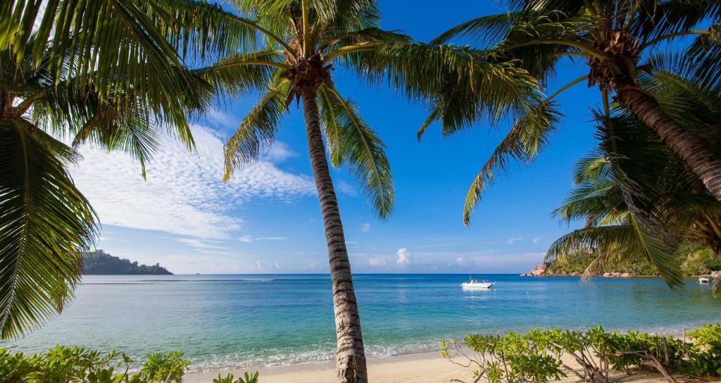 Tropical beach