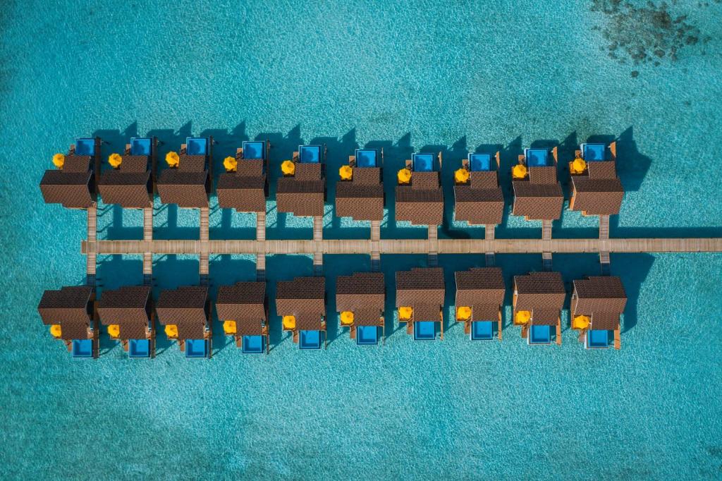 Widok na Dhigufaru Island Resort